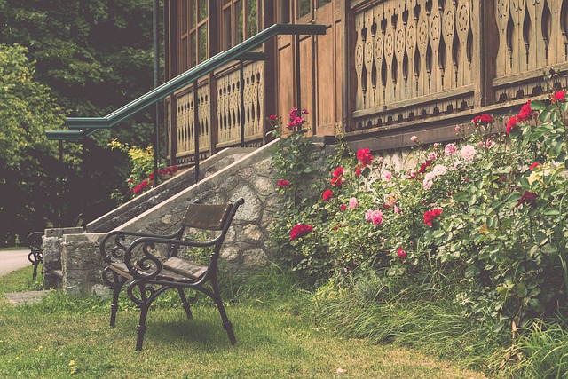 乔治的发挥 乔治的发挥