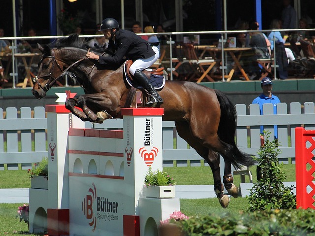 案例分析 案例分析