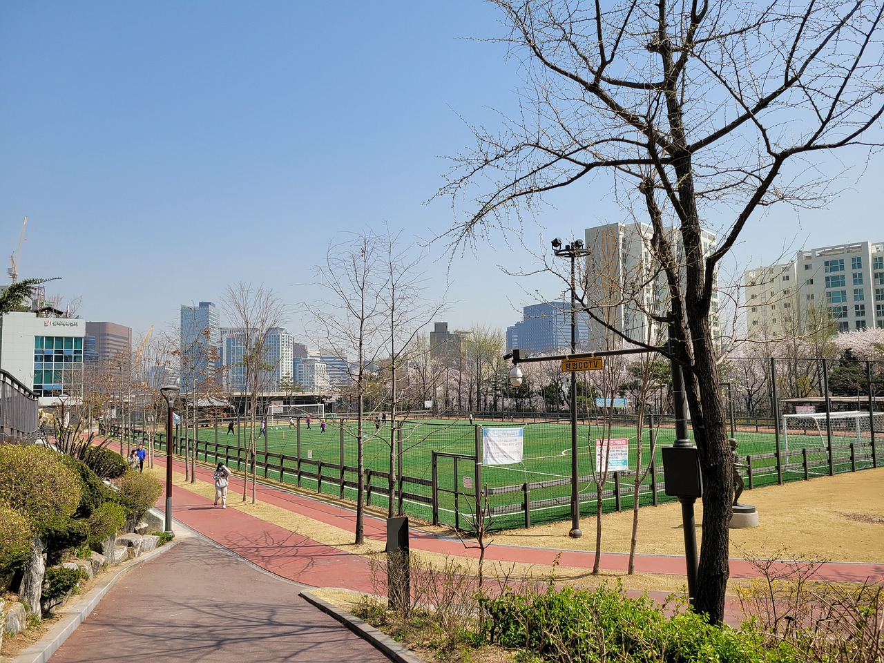 敏锐的观察 敏锐的观察