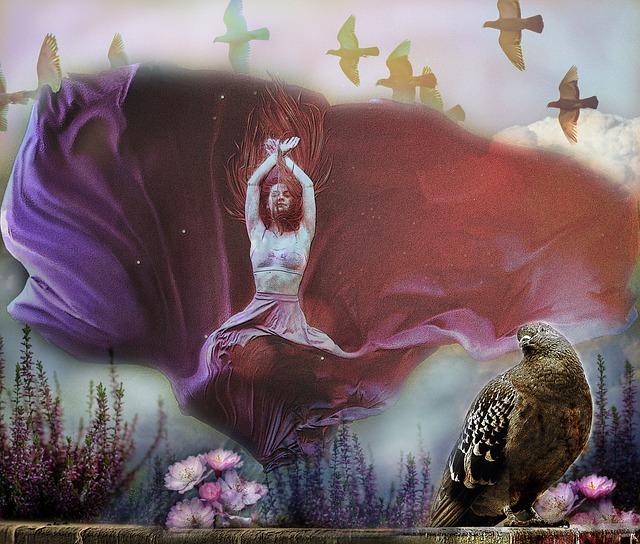 何去何从 何去何从