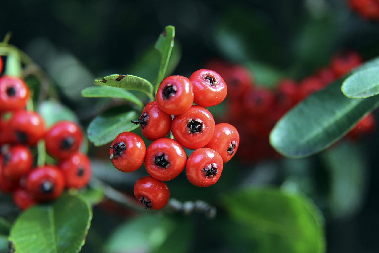 的绝对差距 的绝对差距